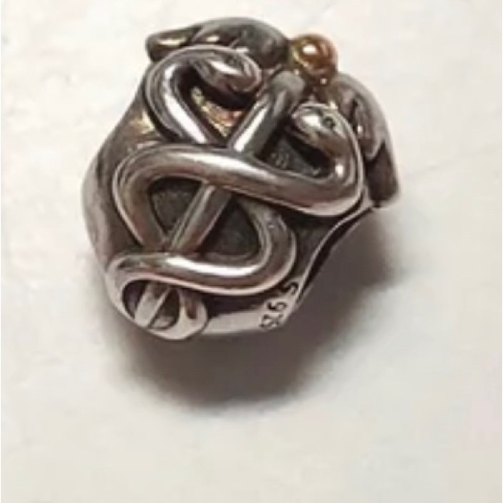 Pandora Lifesaver Charm Sterling Silvet Ale 925